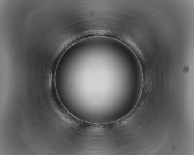 X0000091220110200708161704