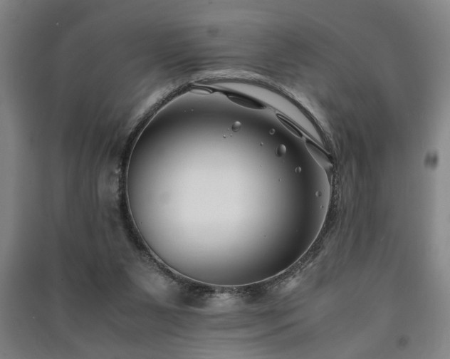 X0000091220111200708161704