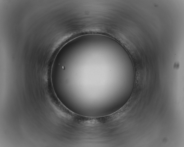 X0000091220112200708161704