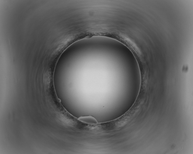 X0000091220113200708161704