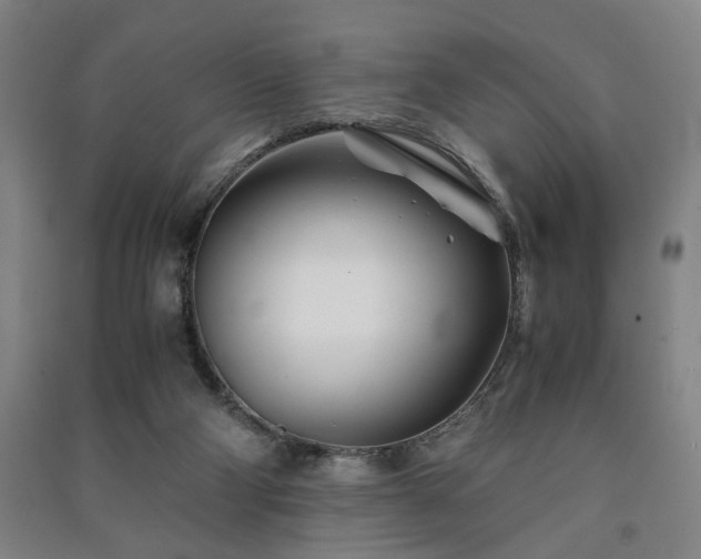 X0000091220114200708161704