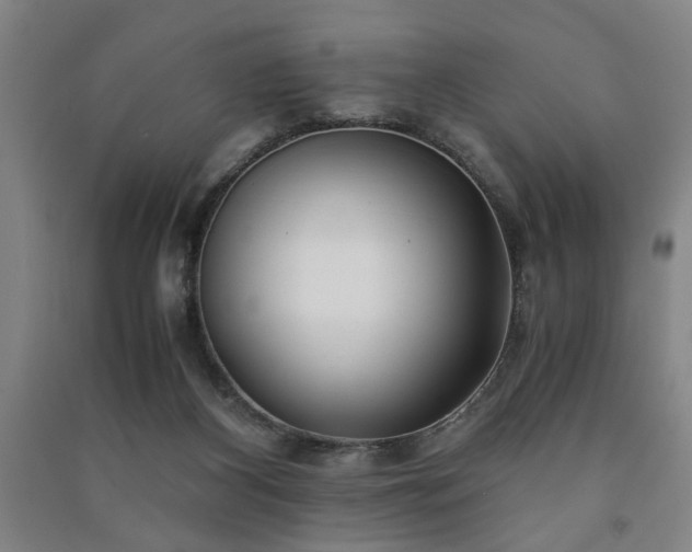 X0000091220116200708161704