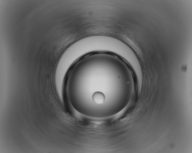 X0000091220117200708161704