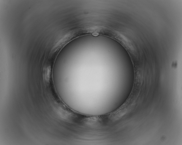 X0000091220118200708161704