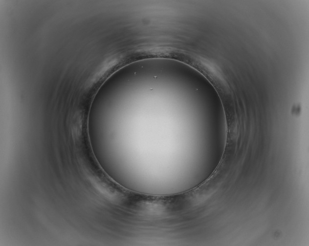 X0000091220120200708161704