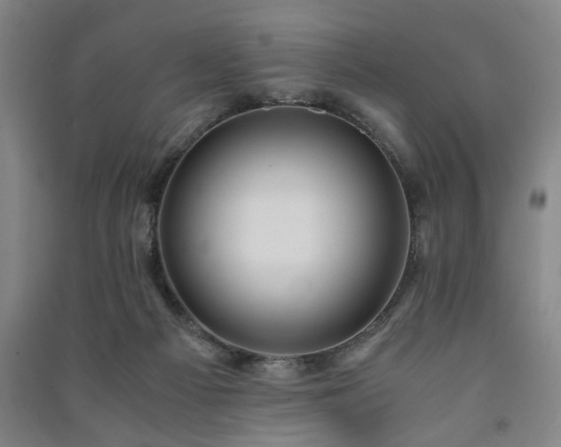 X0000091220121200708161704