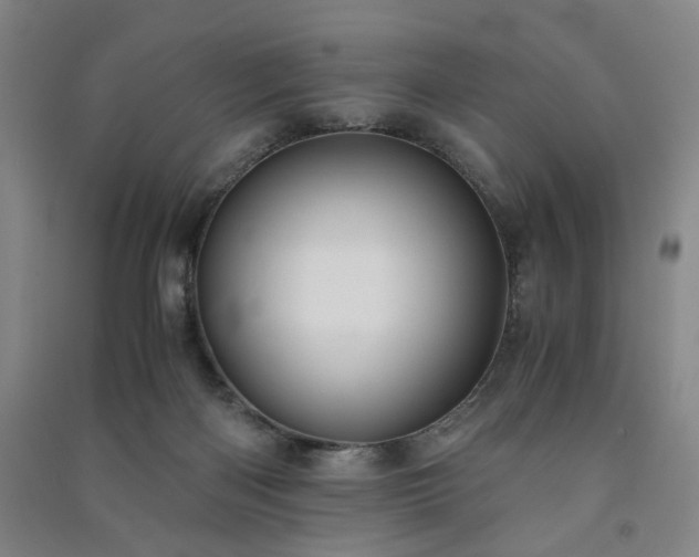 X0000091220122200708161704