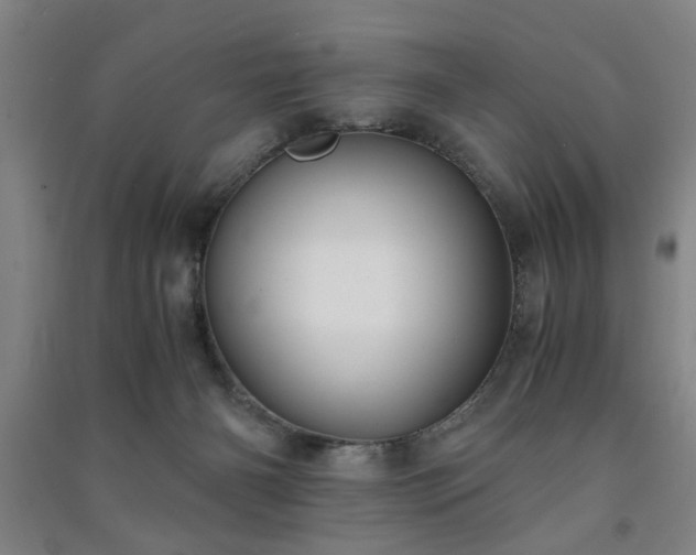 X0000091220126200708161704