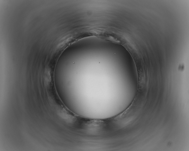 X0000091220128200708161704