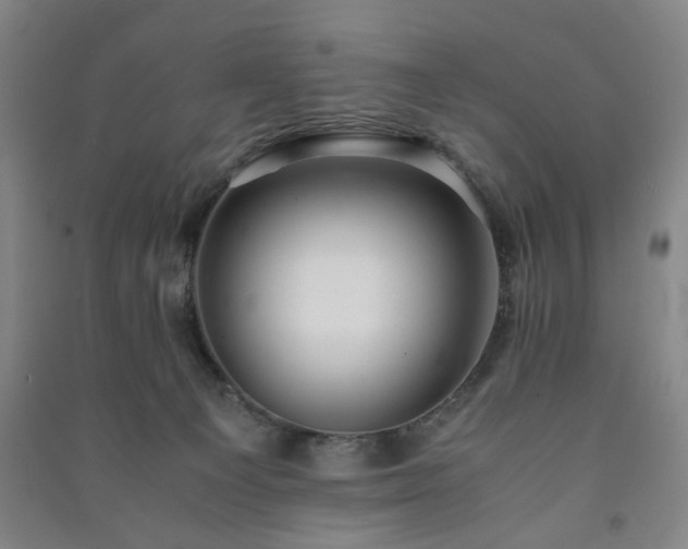 X0000091220129200708161704