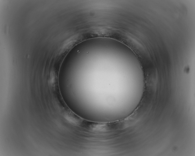 X0000091220132200708161704