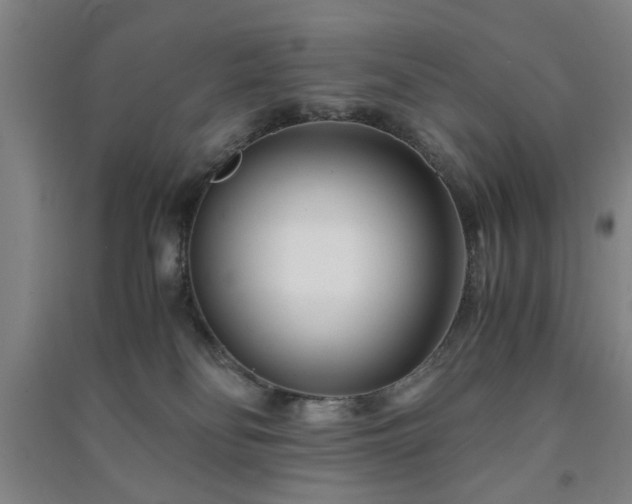 X0000091220134200708161704