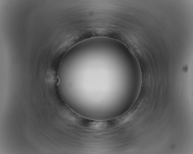 X0000091220135200708161704