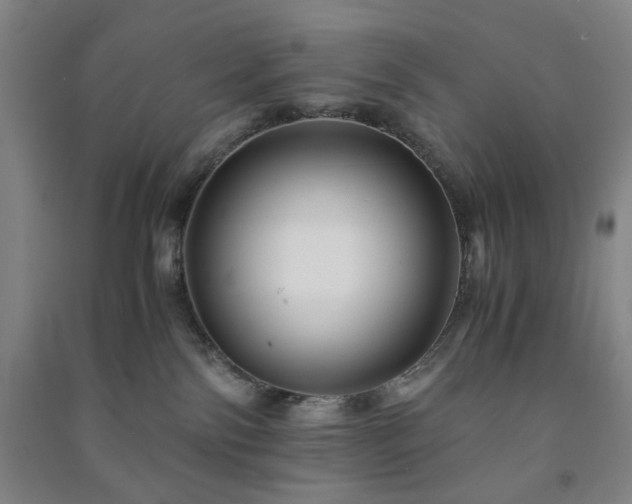 X0000091220138200708161704