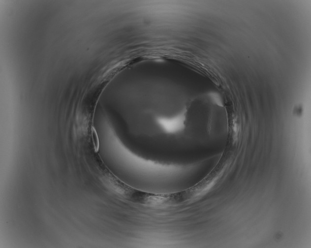 X0000091220139200708161704