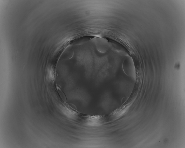 X0000091220143200708161704