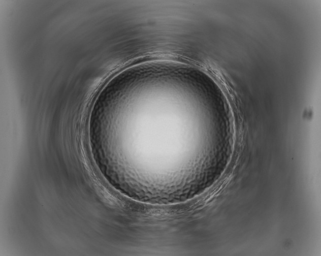 X0000091220145200708161703