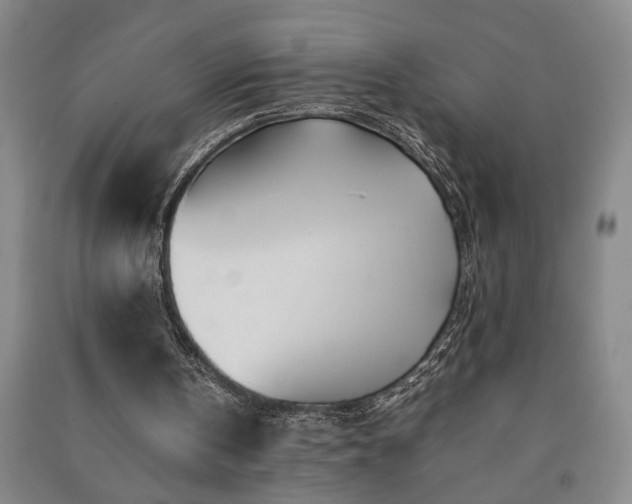 X0000091220146200708161703