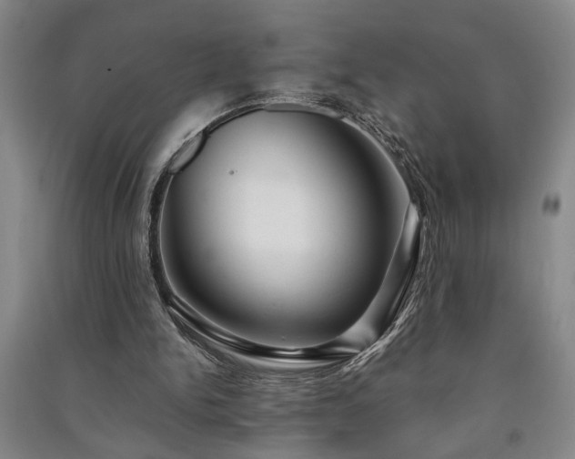 X0000091220150200708161703