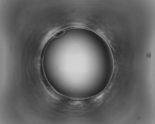 X0000091220151200708161703