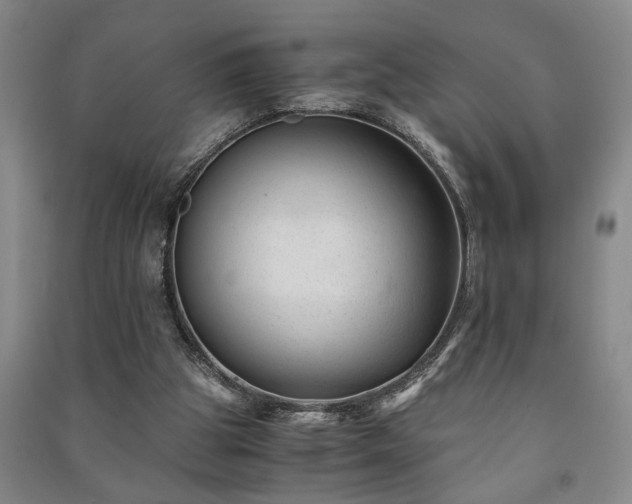 X0000091220153200708161703