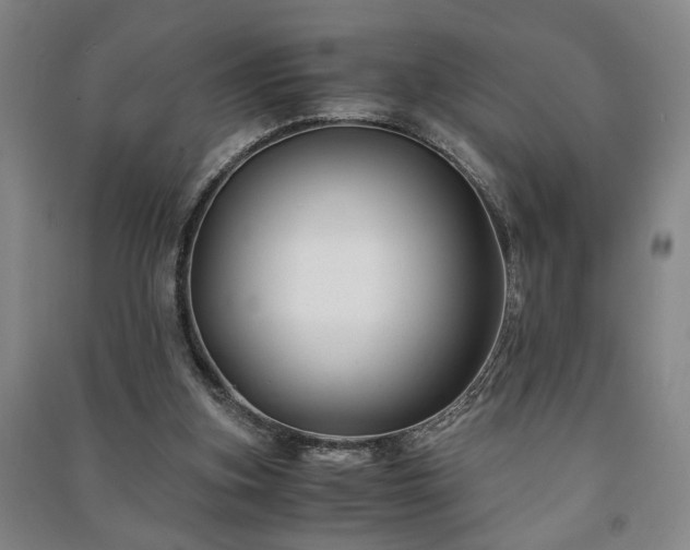 X0000091220155200708161703