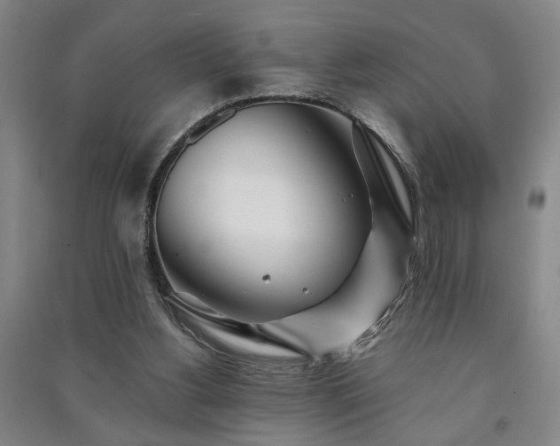 X0000091220156200708161703