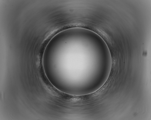 X0000091220158200708161703