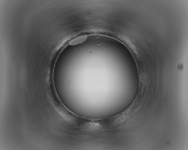 X0000091220159200708161703