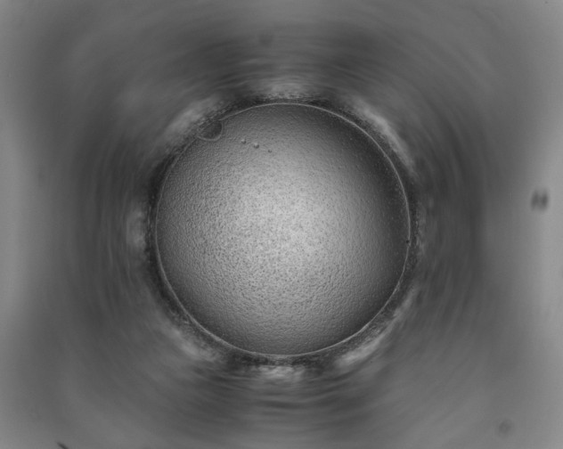 X0000091220161200708161703