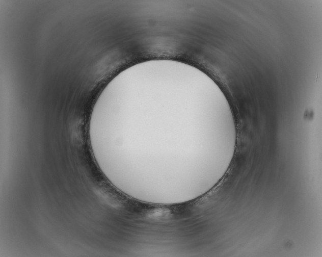 X0000091220162200708161703