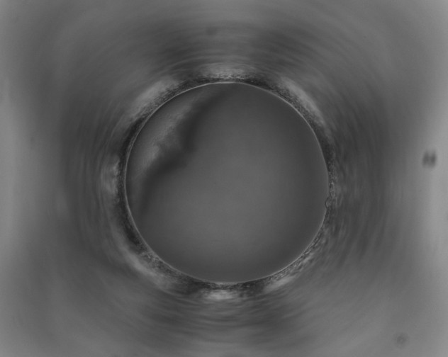 X0000091220163200708161703