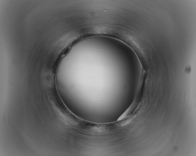 X0000091220164200708161703