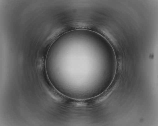 X0000091220165200708161703