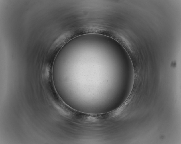 X0000091220166200708161703