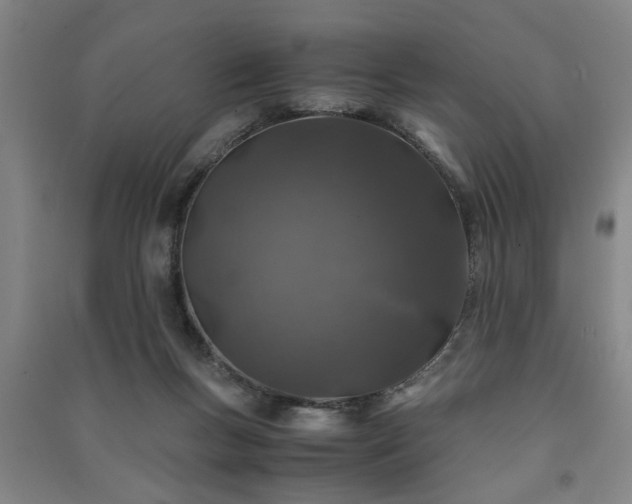 X0000091220167200708161703