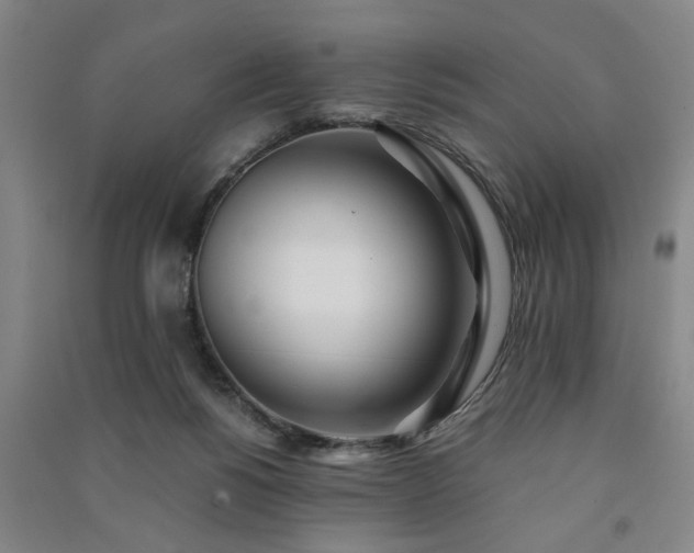 X0000091220168200708161703