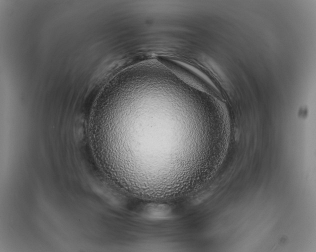 X0000091220169200708161703