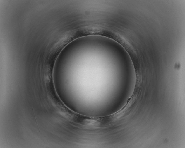 X0000091220170200708161703