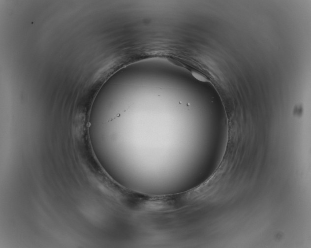 X0000091220171200708161703