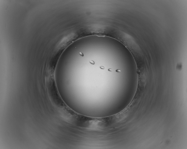 X0000091220172200708161703