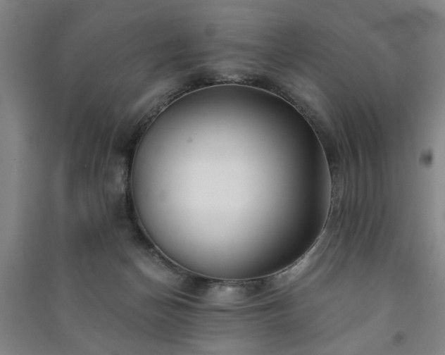 X0000091220174200708161703