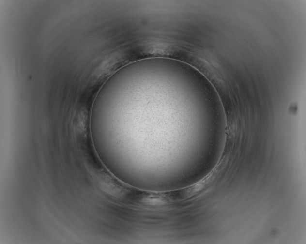 X0000091220175200708161703