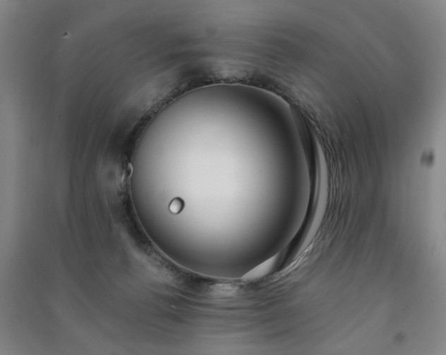 X0000091220176200708161703