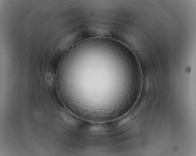 X0000091220177200708161703