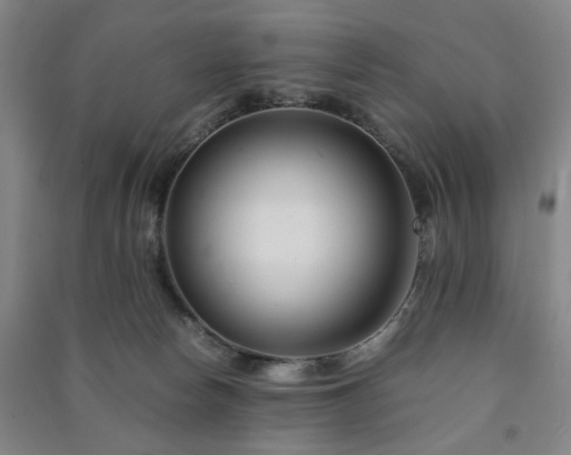 X0000091220178200708161703