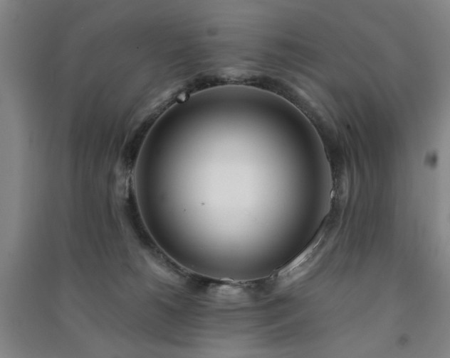 X0000091220180200708161703