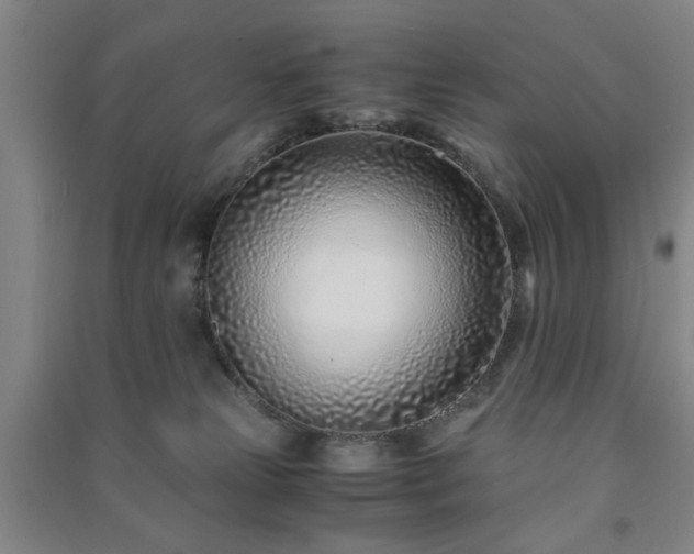 X0000091220181200708161703