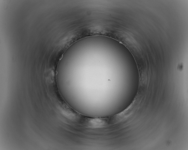 X0000091220183200708161704