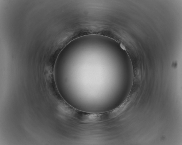 X0000091220184200708161704